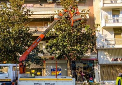 Eργασίες κλαδέματος από τον Δήμο Χανίων | οι περιοχές